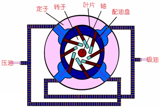 葉片泵工作原理動(dòng)圖